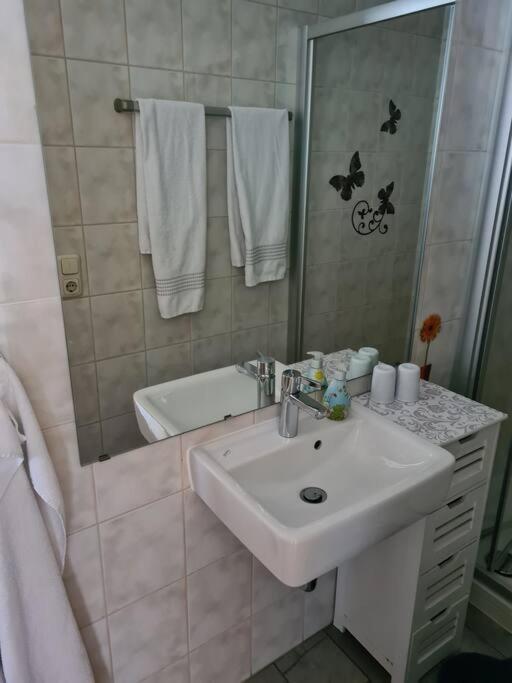 Gemuetliche Ferienwohnung Am Waldrand Elgersburg エクステリア 写真