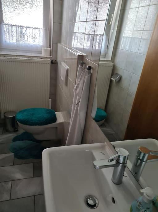 Gemuetliche Ferienwohnung Am Waldrand Elgersburg エクステリア 写真